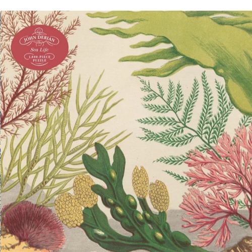 John Derian - 1000 Piece Puzzle / Sea Life