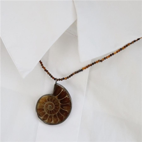 Tiger Eye Beads & Ammonite Stone